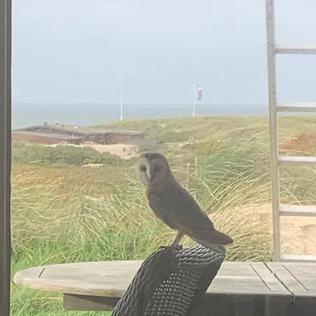 Casa de Férias Meerblickhaus-hoppe-mit-panoramabank-auf-sylt *
