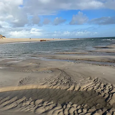 Meerblickhaus-hoppe-mit-panoramabank-auf-sylt Casa de Férias